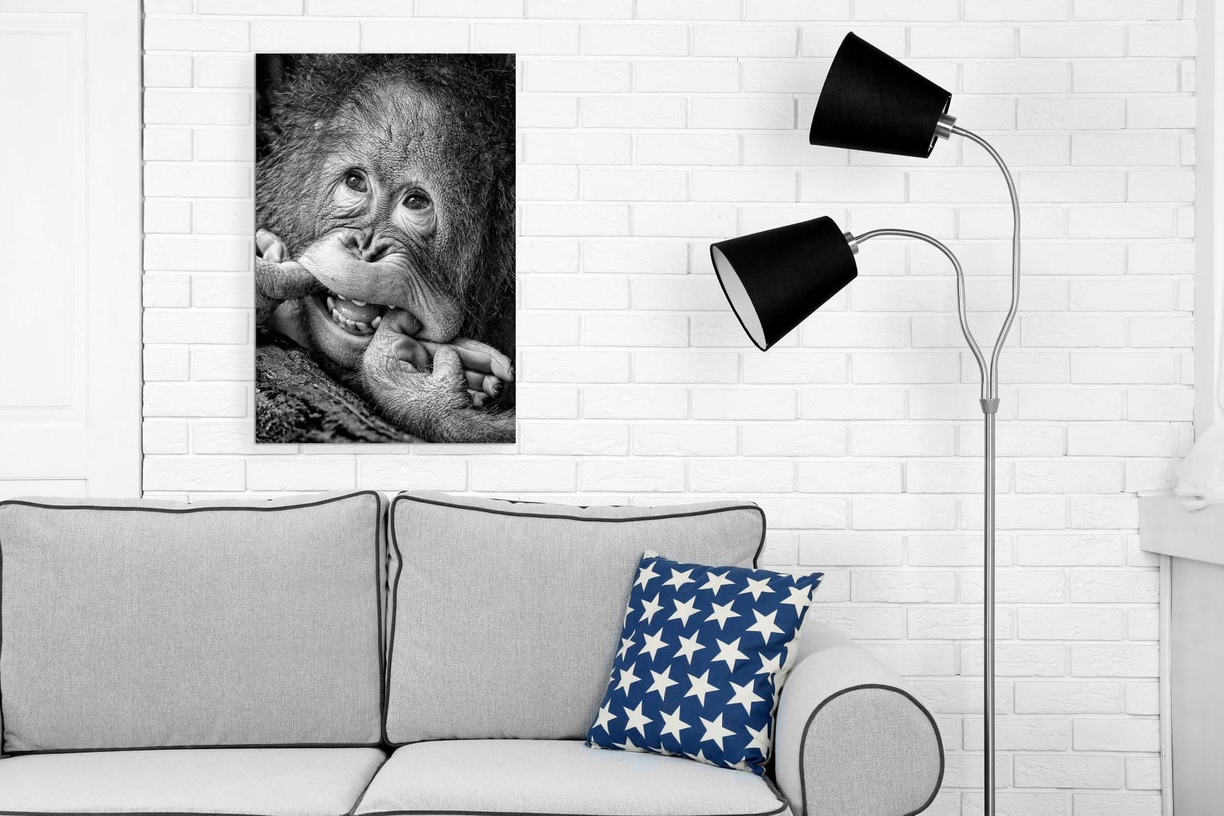 Wandbild Orang Utan Dibond 40x60cm Alubild Aluminium Schwarz Weiß Affe Wanddeko